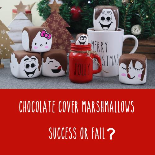 Failed Chocolate Covered Marshmallows | Christmas Decor Fail | Success or Fail? - Rustic Chic by Designs By Gaddis